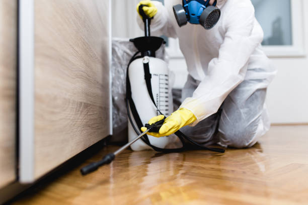 Best Flea Control Services  in Collegedale, TN