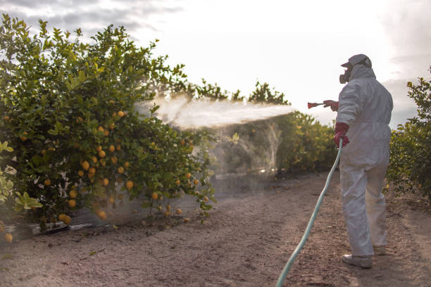 Best Pest Prevention Services  in Collegedale, TN