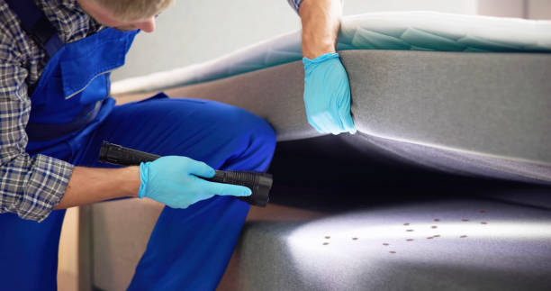 Best Affordable Pest Control Services  in Collegedale, TN