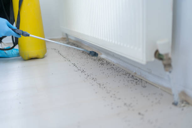 Best Best Pest Control Companies  in Collegedale, TN
