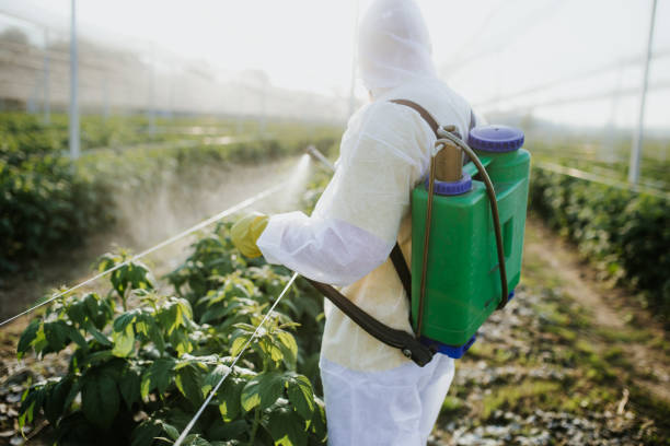 Best Wildlife Control Services  in Collegedale, TN